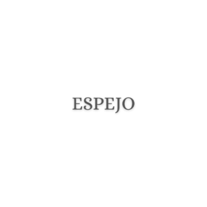 prompts profesionales